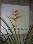 Der Garten „Sitio“ von Marx umfasst über 40,5 Hektar und beherbergt 3.500 Pflanzenarten.